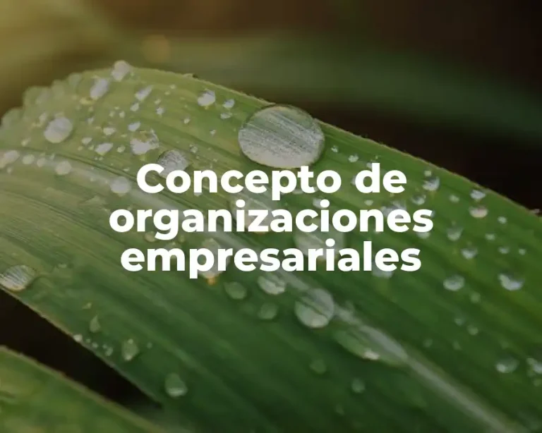 Concepto de organizaciones empresariales
