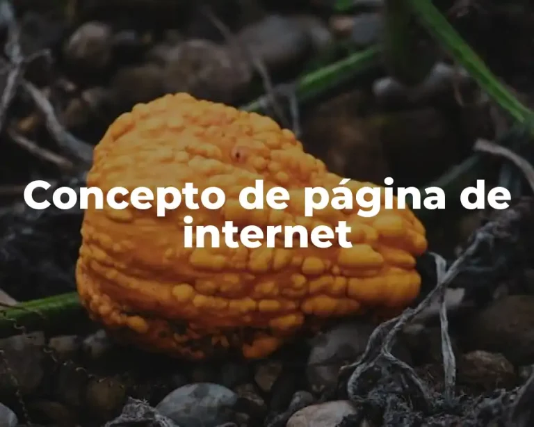 Concepto de página de internet