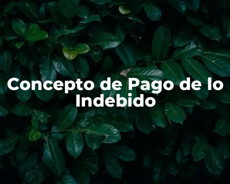 Concepto de Pago de lo Indebido