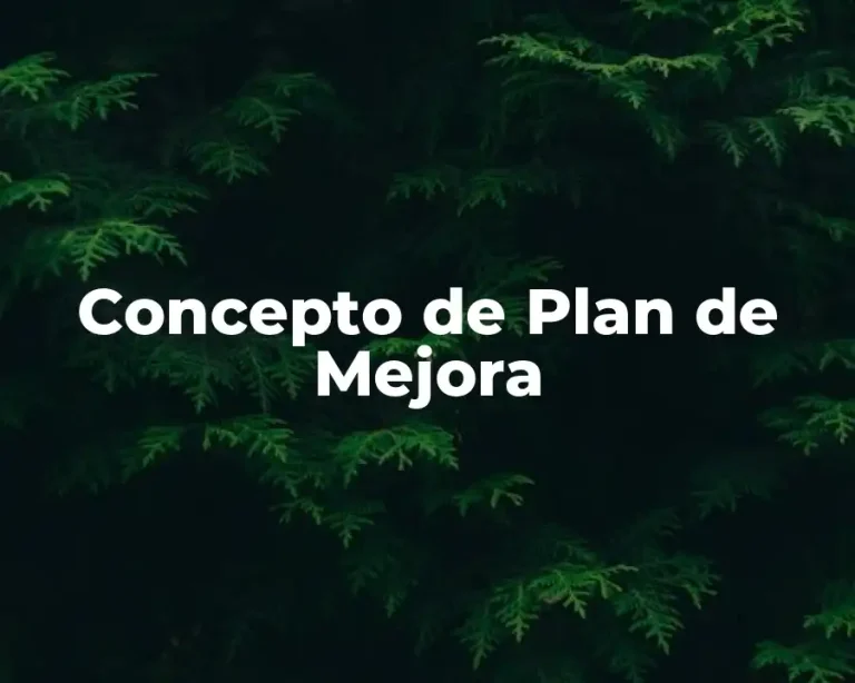 Concepto de Plan de Mejora