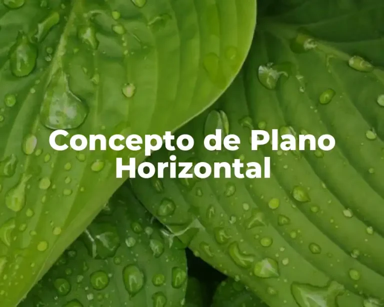 Concepto de Plano Horizontal