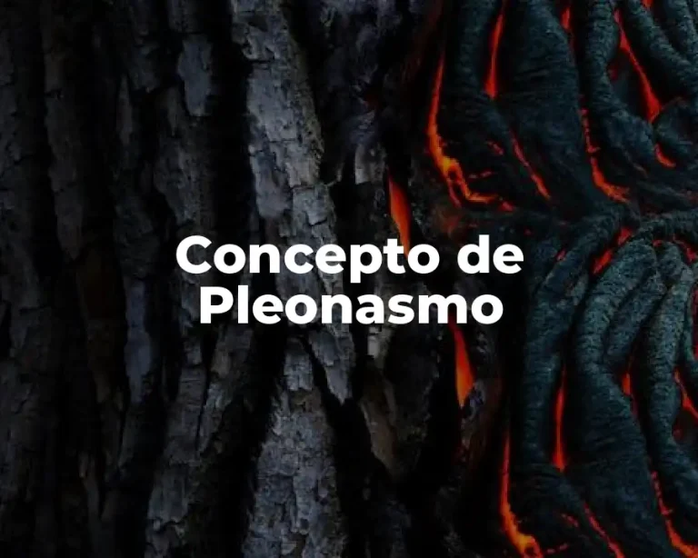 Concepto de Pleonasmo