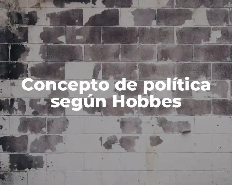 Concepto de política según Hobbes