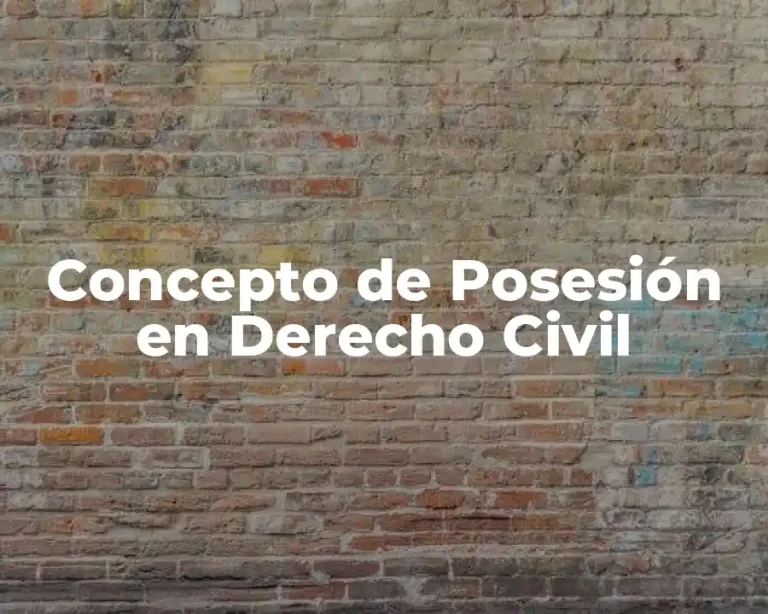 Concepto de Posesión en Derecho Civil