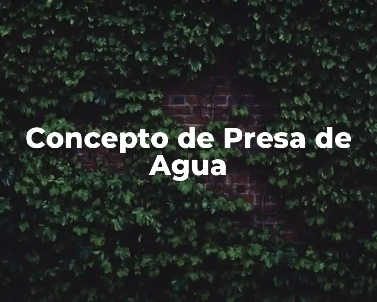 Concepto de Presa de Agua