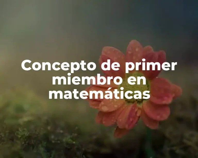 Concepto de primer miembro en matemáticas