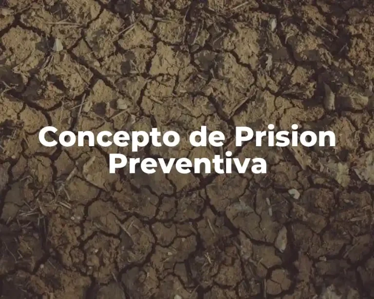 Concepto de Prision Preventiva