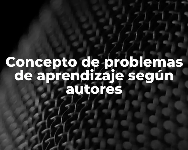 Concepto de problemas de aprendizaje según autores