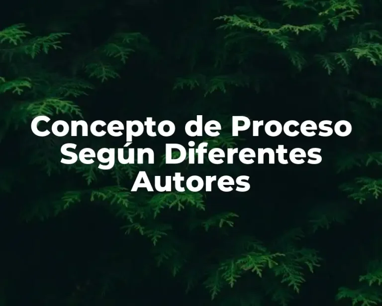 Concepto de Proceso Según Diferentes Autores