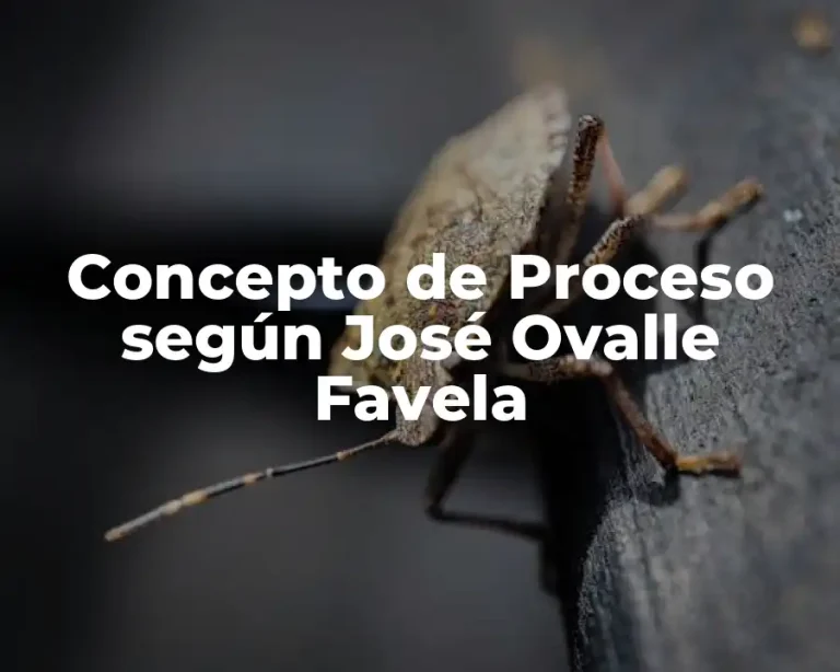 Concepto de Proceso según José Ovalle Favela