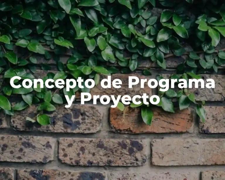 Concepto de Programa y Proyecto