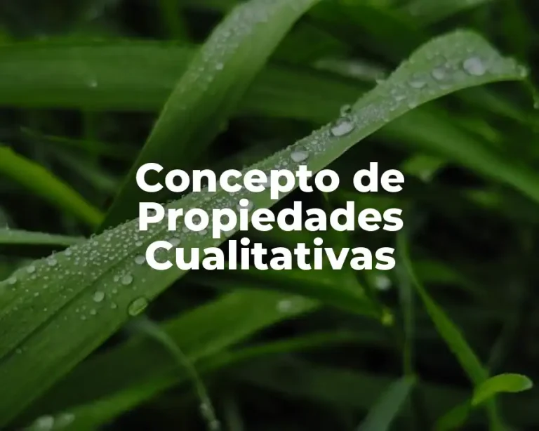 Concepto de Propiedades Cualitativas