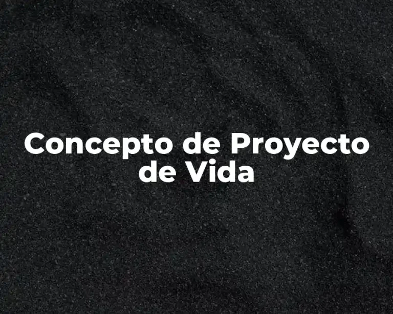 Concepto de Proyecto de Vida