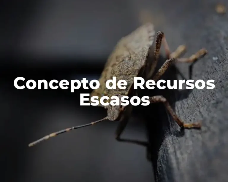 Concepto de Recursos Escasos