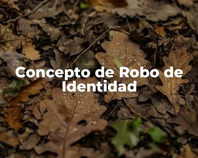 Concepto de Robo de Identidad