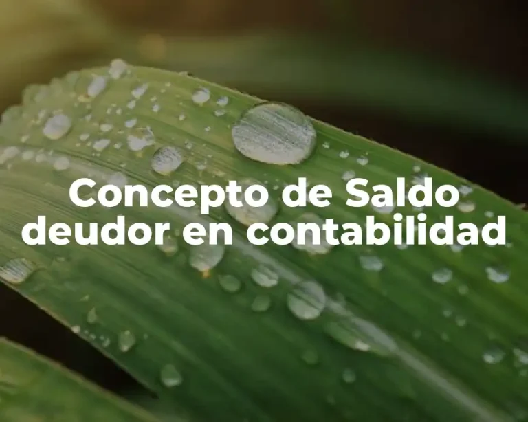 Concepto de Saldo deudor en contabilidad