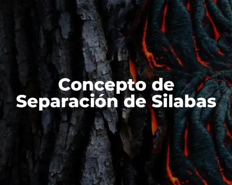 Concepto de Separación de Silabas