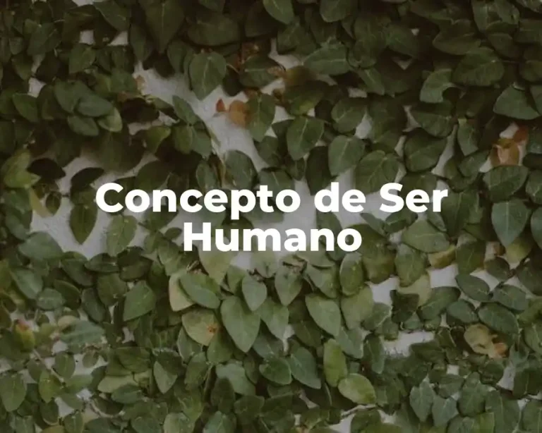 Concepto de Ser Humano