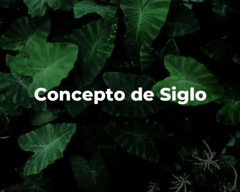 Concepto de Siglo