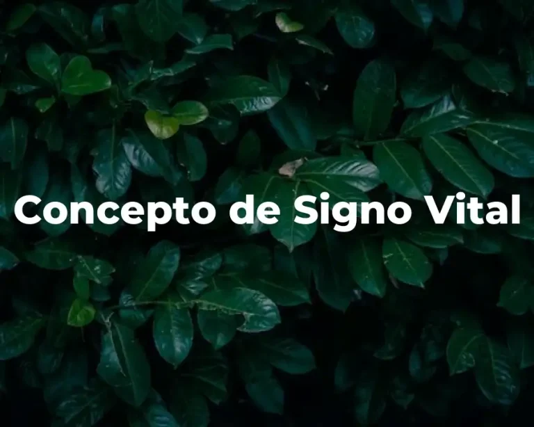 Concepto de Signo Vital