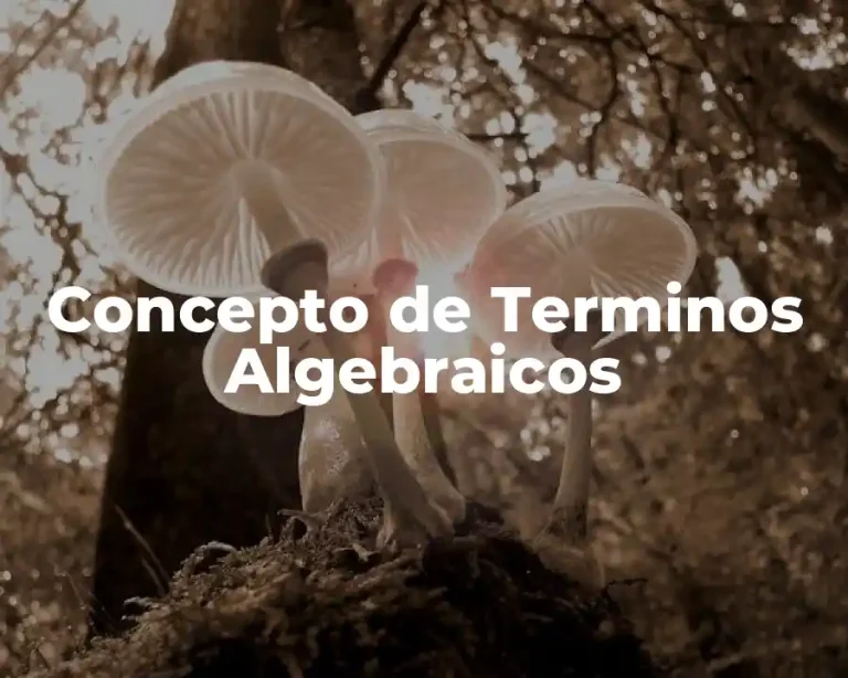 Concepto de Terminos Algebraicos