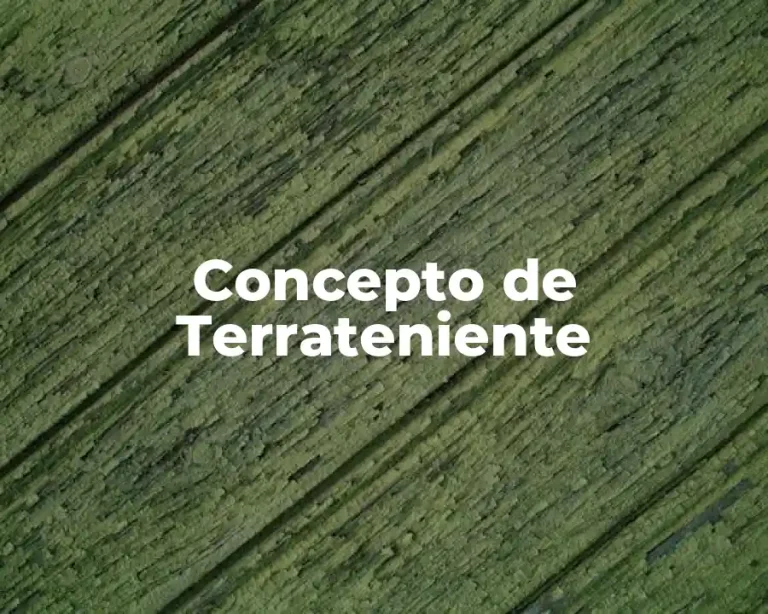 Concepto de Terrateniente