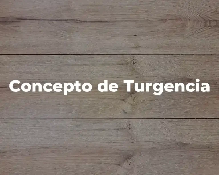 Concepto de Turgencia
