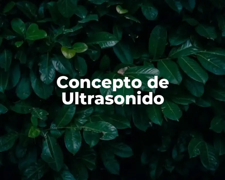 Concepto de Ultrasonido