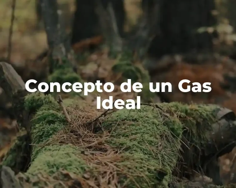 Concepto de un Gas Ideal