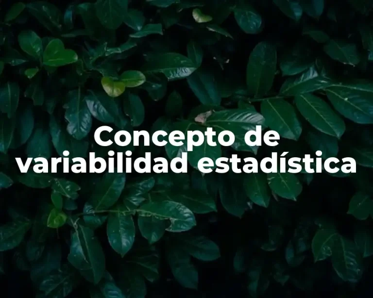 Concepto de variabilidad estadística