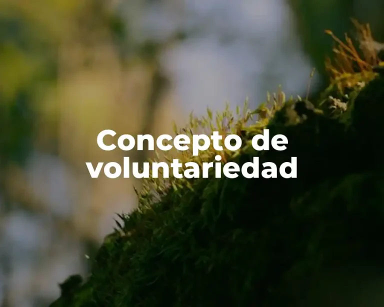 Concepto de voluntariedad
