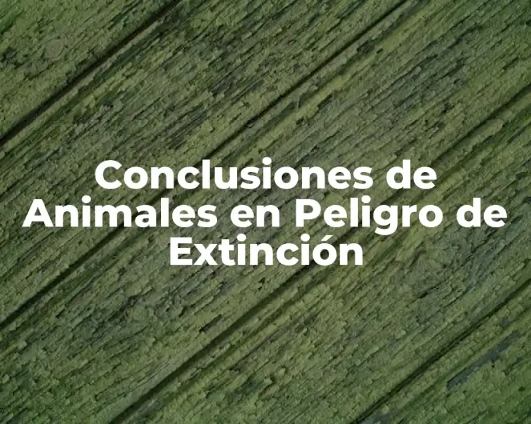 Conclusiones de Animales en Peligro de Extinción