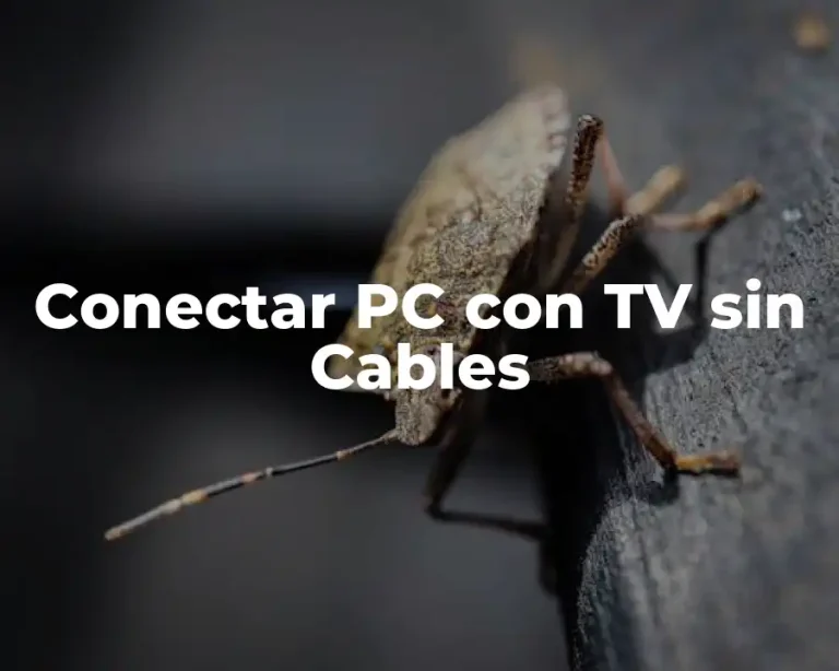 Conectar PC con TV sin Cables
