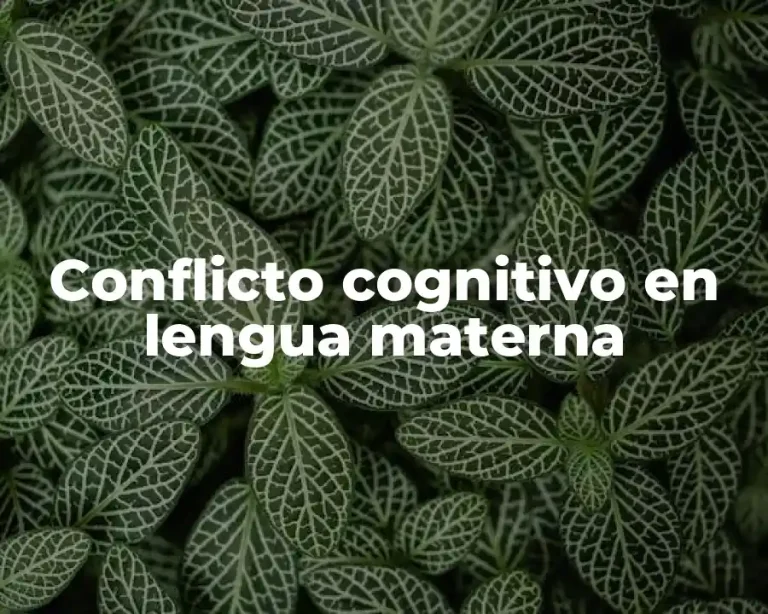 Conflicto cognitivo en lengua materna