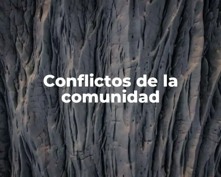 Conflictos de la comunidad