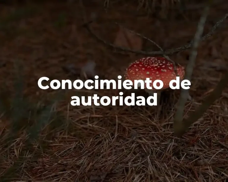 Conocimiento de autoridad