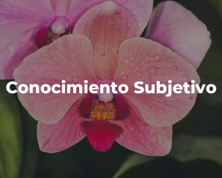 Conocimiento Subjetivo