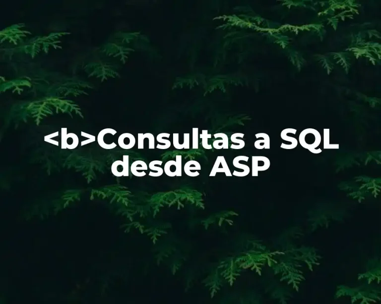 <b>Consultas a SQL desde ASP