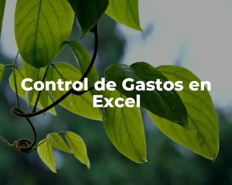 Control de Gastos en Excel