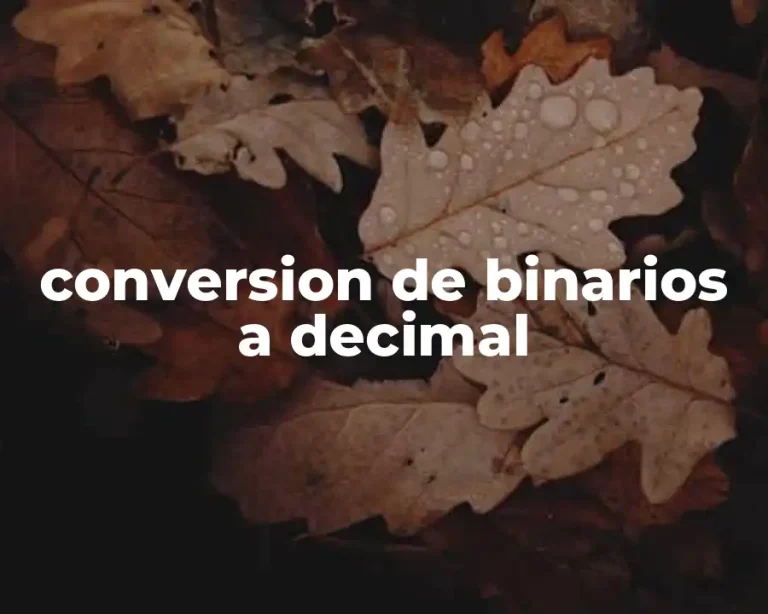 conversion de binarios a decimal