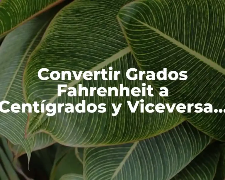 Convertir Grados Fahrenheit a Centígrados y Viceversa de Forma Rápida y Fácil