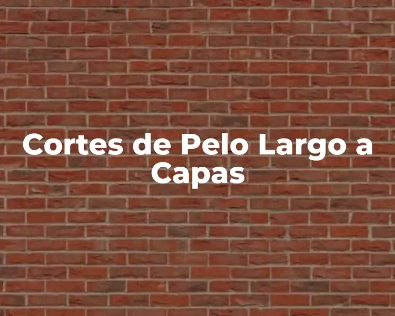 Cortes de Pelo Largo a Capas