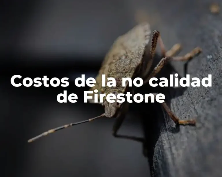 Costos de la no calidad de Firestone