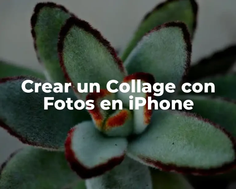 Crear un Collage con Fotos en iPhone