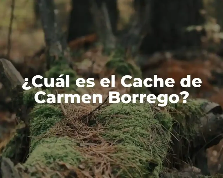 ¿Cuál es el Cache de Carmen Borrego?