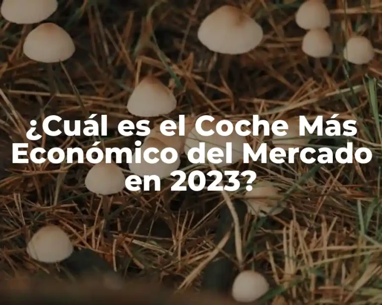 ¿Cuál es el Coche Más Económico del Mercado en 2023?