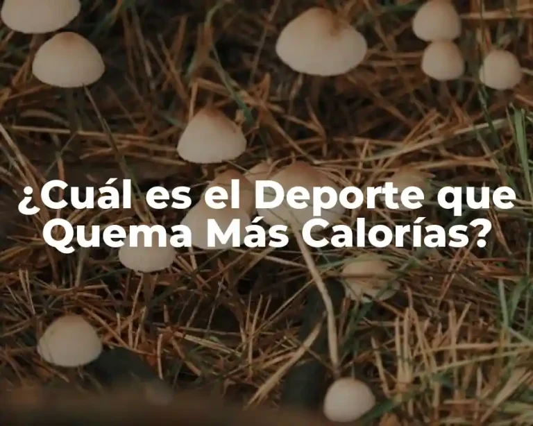 ¿Cuál es el Deporte que Quema Más Calorías?