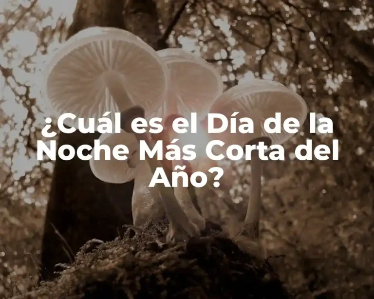 ¿Cuál es el Día de la Noche Más Corta del Año?
