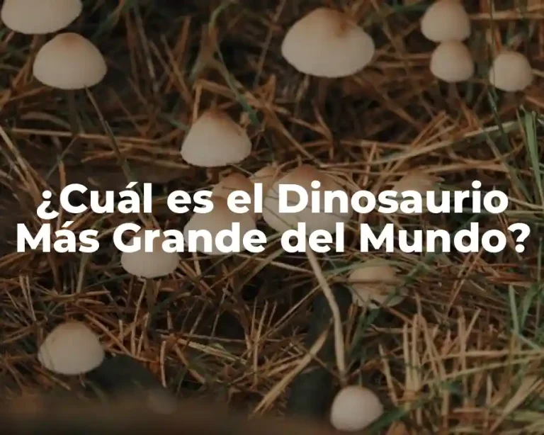 ¿Cuál es el Dinosaurio Más Grande del Mundo?