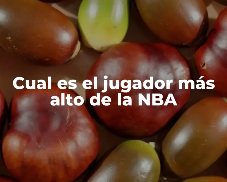 Cual es el jugador más alto de la NBA